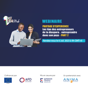 webinaire diaspora 2