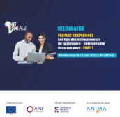 webinaire diaspora